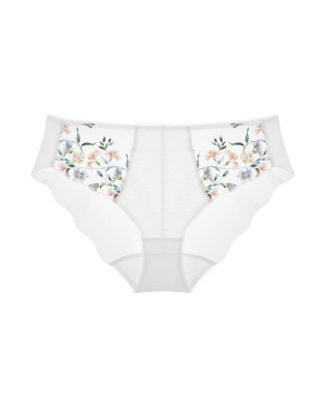 Aurelia Brief