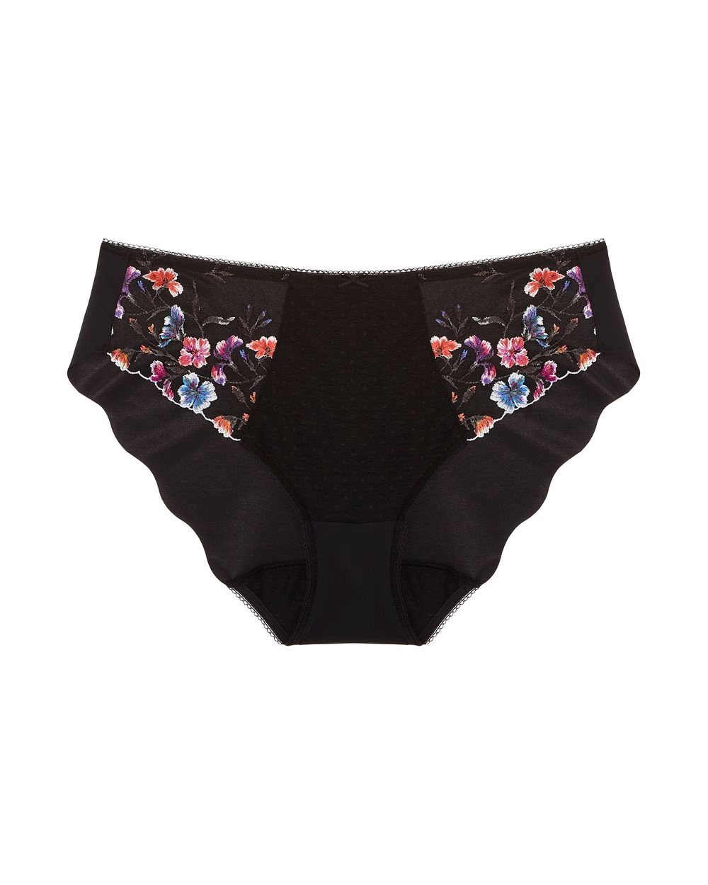 Aurelia Brief