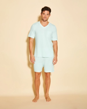 Men's Short Sleeve Top & Shorts Pajama Set