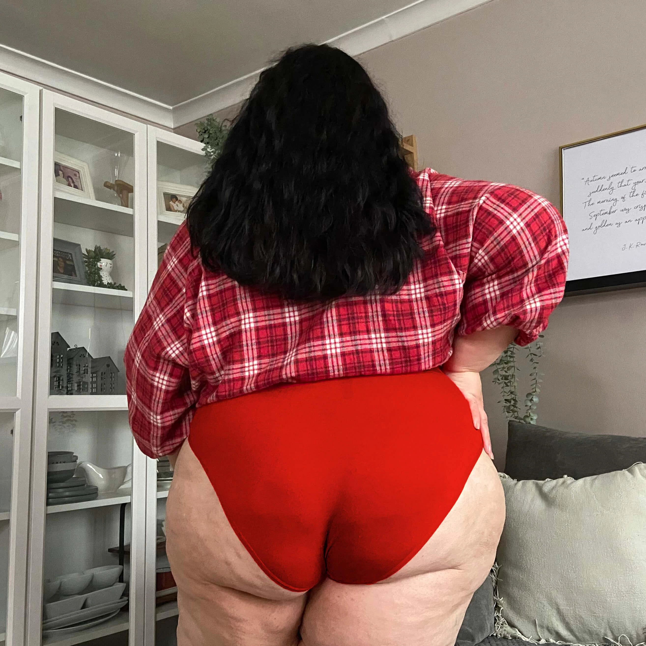 Organic Cotton Super High Leg Panties - Lobster